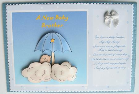 New Baby Brother Step by Step by Margaret Scott