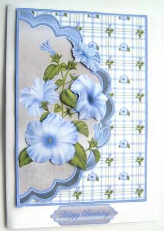 Blue Petunia Envelope Cardfront by Margaret Scott