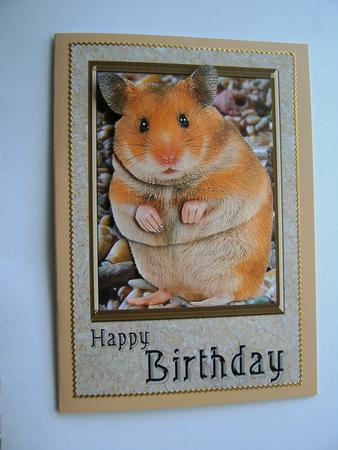 Hamster Card Front by Margaret Scott