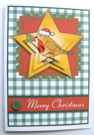 Christmas Robin by Margaret Scott