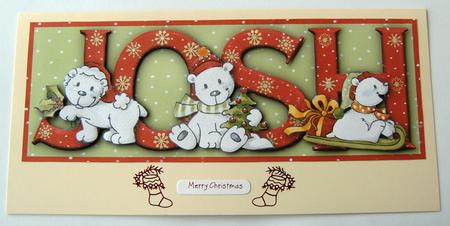 Playful Polar Bears Josh Large Dl Name Card by Margaret Scott