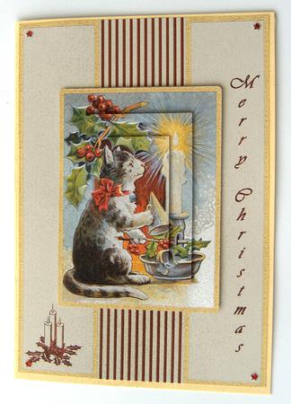 Christmas Cat Card Front by Margaret Scott