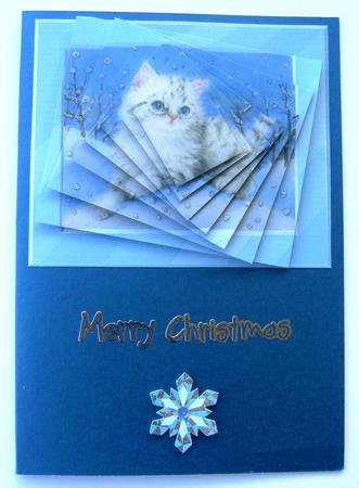 Christmas Kitty by Margaret Scott