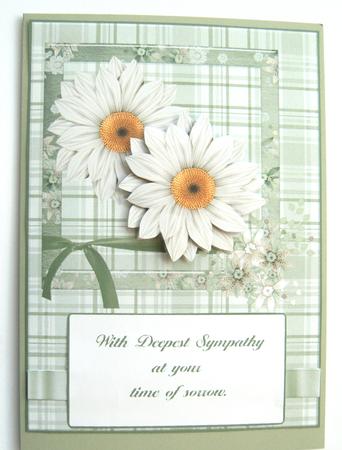 White Daisy Sympathy by Margaret Scott