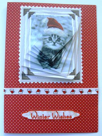 Santa Hat Kitty by Margaret Scott