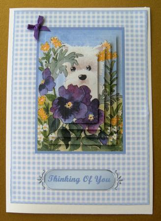 Westie in Flower Bed -thinking of You by Margaret Scott