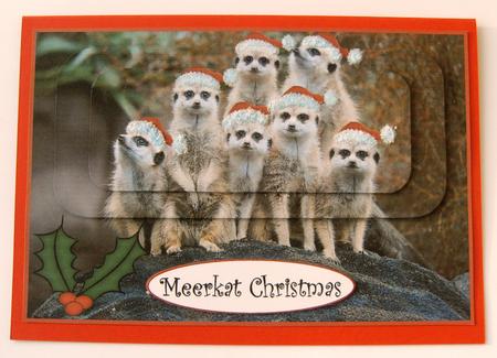 Meerkat Christmas by Margaret Scott