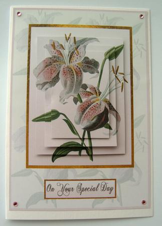 Lily's Special Day by Margaret Scott