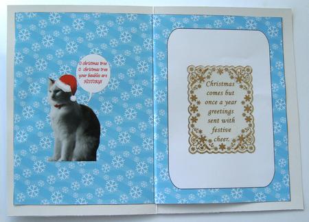 Naughty Gizmo Insert by Margaret Scott
