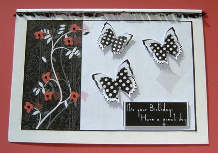 Black and White Collection Butterflies by Margaret Scott