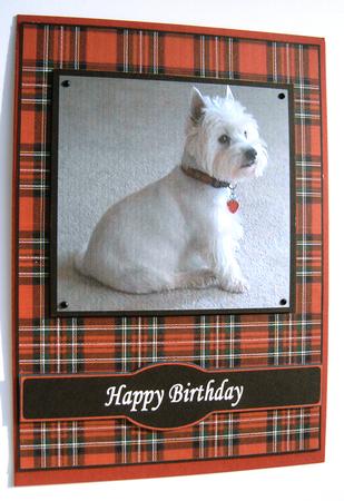 Happy New Year with Munro by Margaret Scott