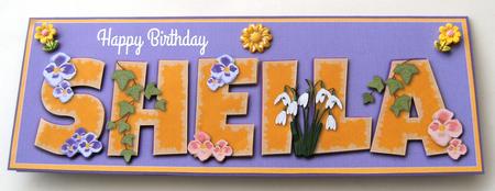 Flowers Sheila Large Dl by Margaret Scott