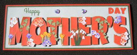 Flowers Mother's Day Large Dl by Margaret Scott