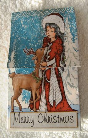 3 Pinchbags Holly by Margaret Scott