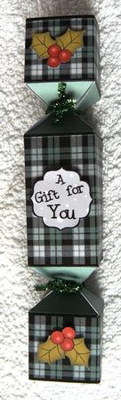3D Pip Penguin Tartan Christmas Cracker Boxes by Margaret Scott