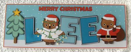 Christmas Owls Lee Large Dl by Margaret Scott