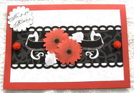 Black and Cream Collection Gerbra by Margaret Scott