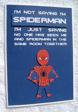 I'm Not Saying I'm Spiderman by Margaret Scott