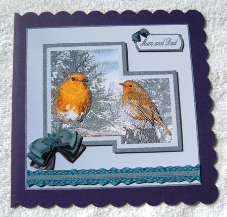 Robins Duet by Margaret Scott