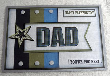 Dad You Are the Best Qs by Margaret Scott