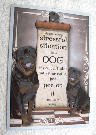 Handle Every Stressful Situation Like a Dog - rottweiller by Margaret Scott