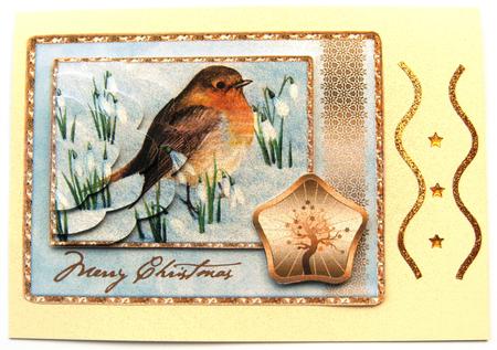 Winter Robin - Best of Both Worlds Card Front by Margaret Scott