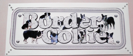 Border Collie Name Sign 3D by Margaret Skinner