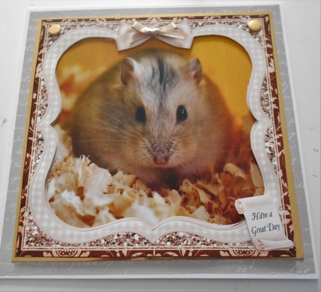 GERBIL MULTI SENTIMENT by Margaret Skinner