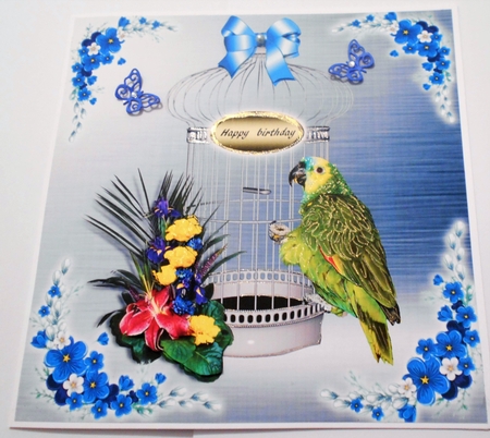 parrot and cage  by Margaret Skinner