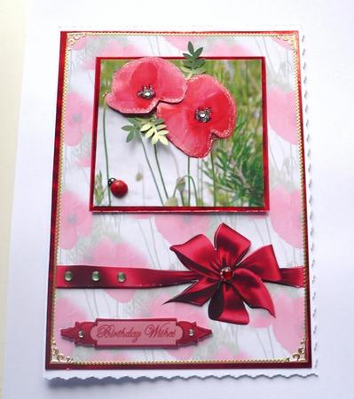 Stunning Poppy Cardfront 2 by Margaret Skinner