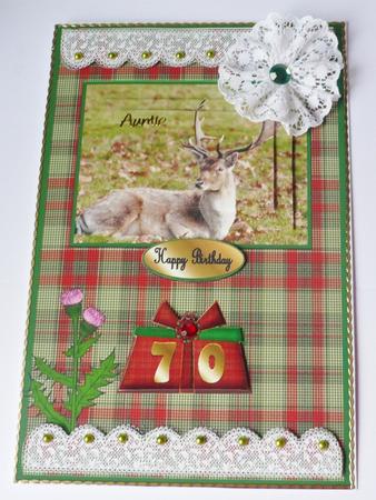 Stag with Tartan Bg Qs by Margaret Skinner