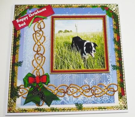 Beautiful Border Collie by Margaret Skinner