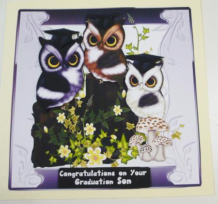 Triple Owl Graduation Congratulations Step by Step by Margaret Skinner