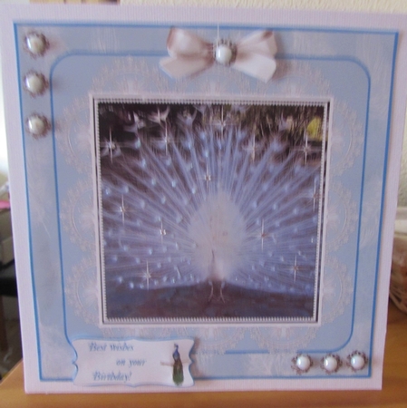 SPARKLING WHITE PEACOCK BIRTHDAY AND OTHER SENTIMENTS by Margaret Swaby