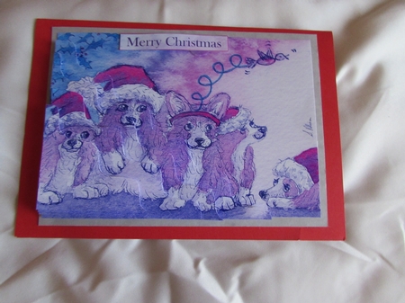 He celebrated difference, corgi dogs in santa hats by Margaret Swaby