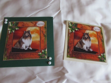 Christmas Collie Featured Gallery Photo