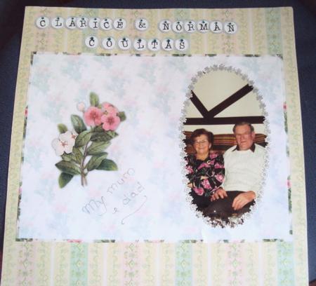 Pink and White Periwinkle Insert by Margaret Swaby