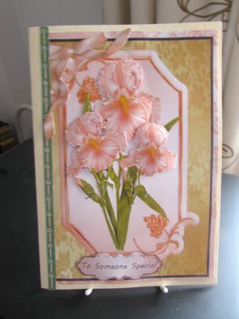 Beautiful Apricote Irises. by Margaret Swaby