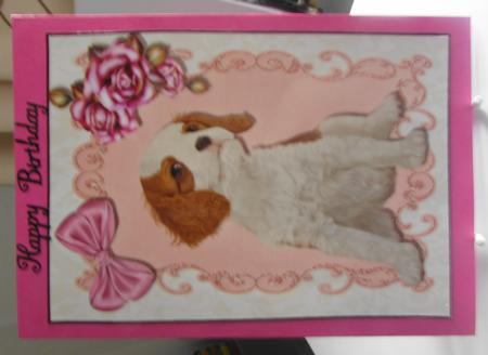 Cute Cavalier Puppy in Pink Frame A4 by Margaret Swaby