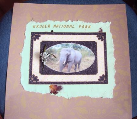 Various Occasions Card Base & Insert 9 by Margaret Swaby
