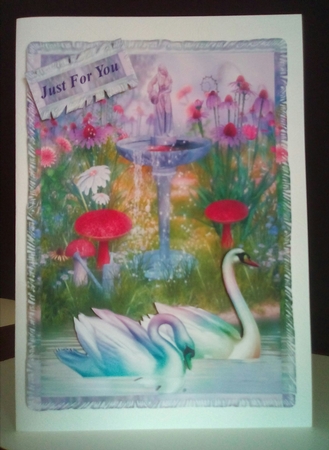 swans by Margaret Swann