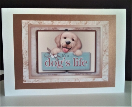 Book Cute Puppys by Margaret Swann