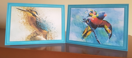 For the Birds Notelets 2 by Margaret Swann