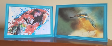 For the Birds Notelets 5 by Margaret Swann