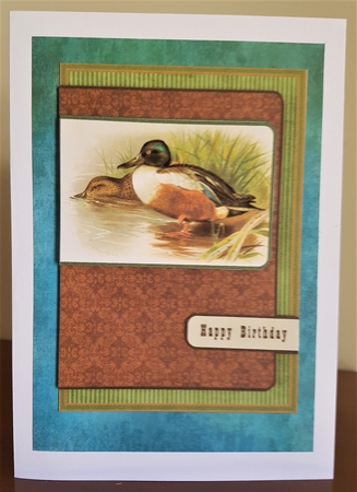 Shoveler duck sportsman birds outdoors fathers day birthday card for men by Margaret Swann