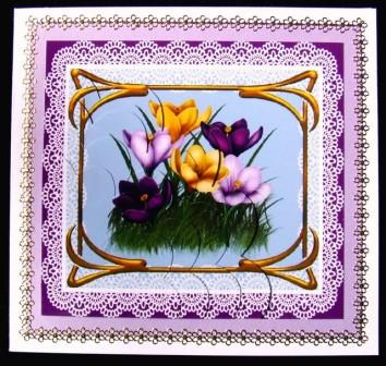 Crocus and Lace by Margaret Tobin