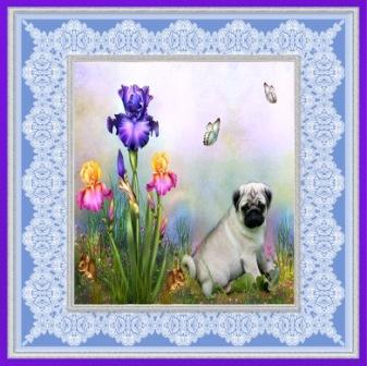 5x5 Card Fronts 9 by Margaret Tobin
