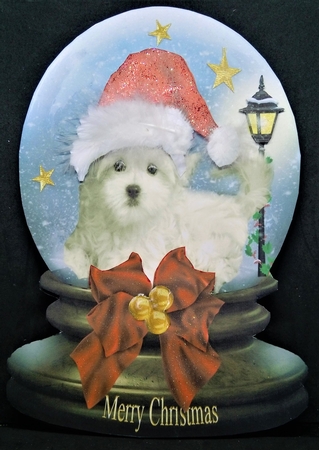 Bumper kit - 15 more Gorgeous Christmas Snow Globe Toppers (no #23) by Margarette Blakeborough