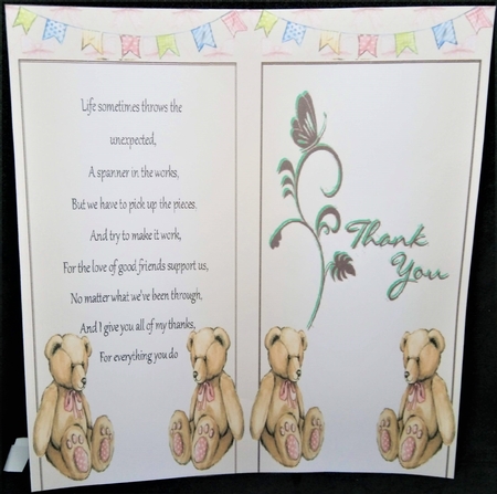 Thankyou Ted by Margarette Blakeborough