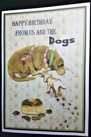 Happy Birthday from us and the Dogs by Margarette Blakeborough